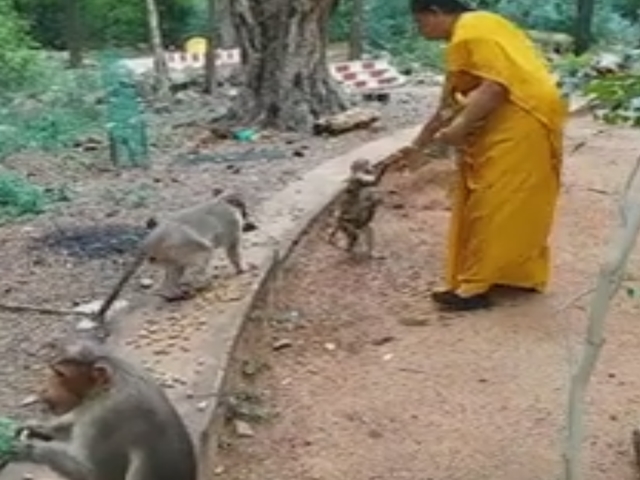 பொறுமையா வாங்கி சாப்பிடு