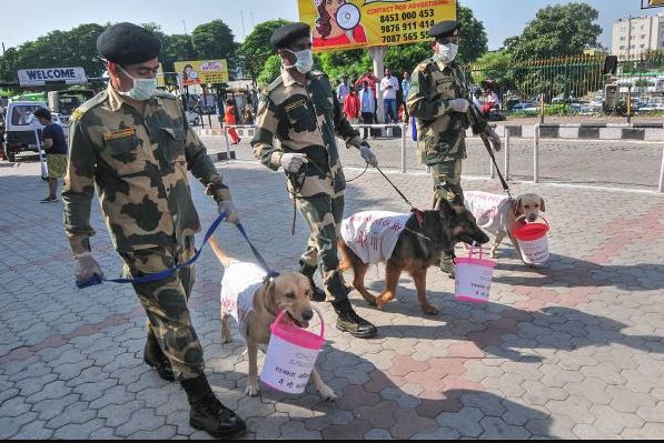 பிஎஸ்எஃப் படையினருடன் இணைந்து குப்பைகளை சுத்தம் செய்யும் நாய்கள்