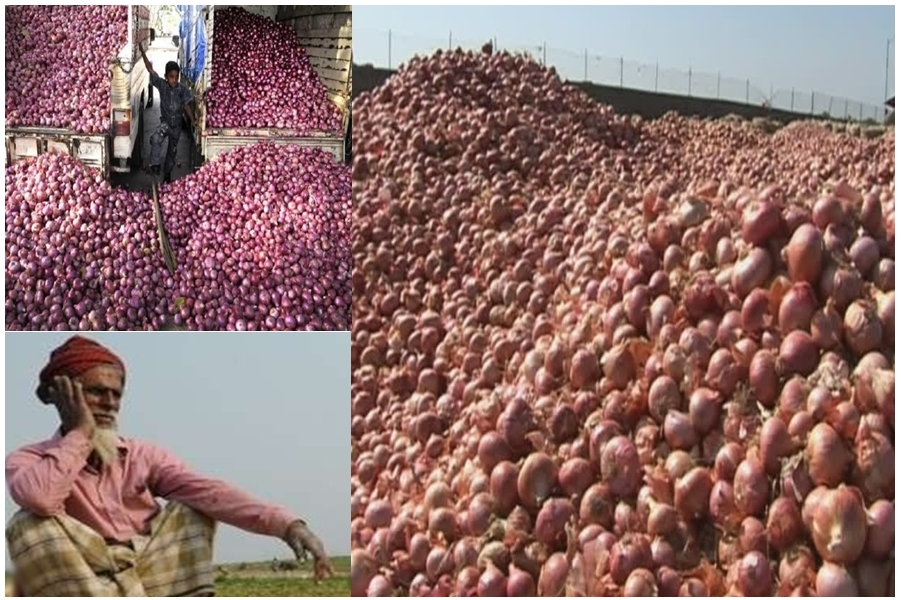 Onion prices rising not affecting on politics maharashtra assembly election 2019