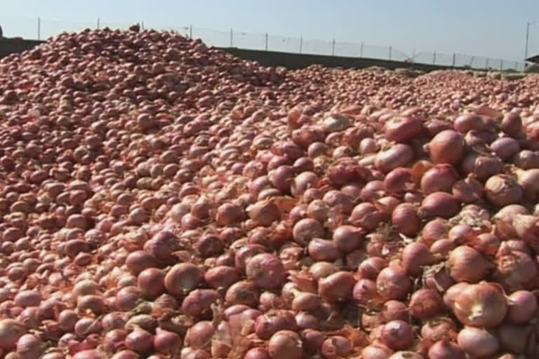 Onion prices rising not affecting on politics maharashtra assembly election 2019