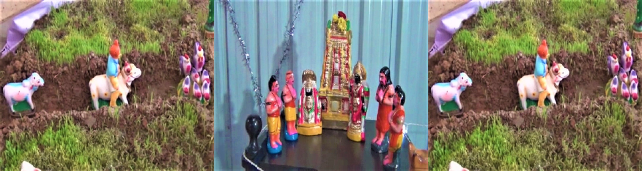 A Family Pray  With 40 thousand Kozhu dolls For Navaratri Festival