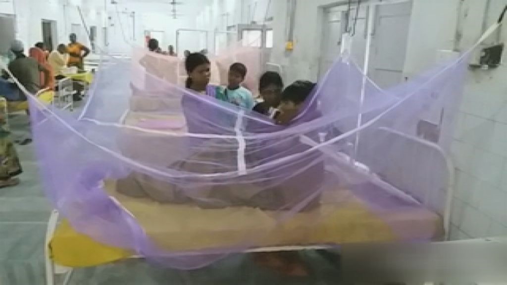 dengue in patna