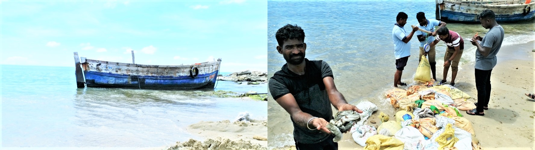 Sea card Smuggling In  Rameshwaram To Srilanaka