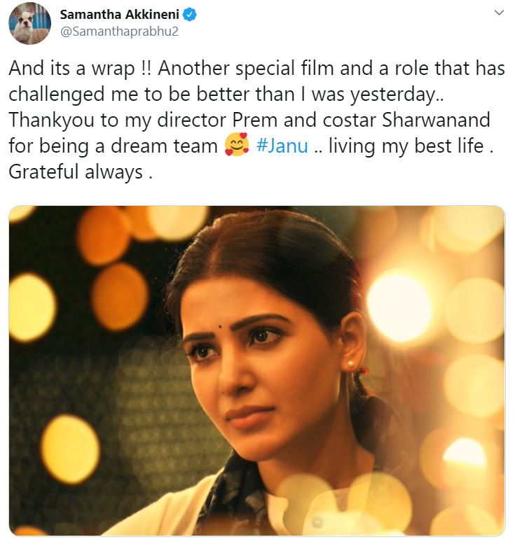 Samantha Akkineni wrap up 96