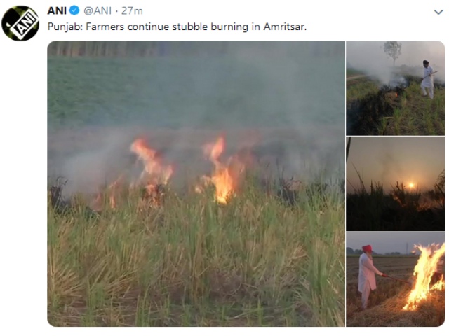 stubble burning in amritsar