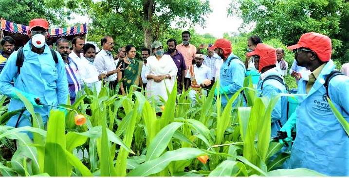 maize crops pesticides work starts In perambalur