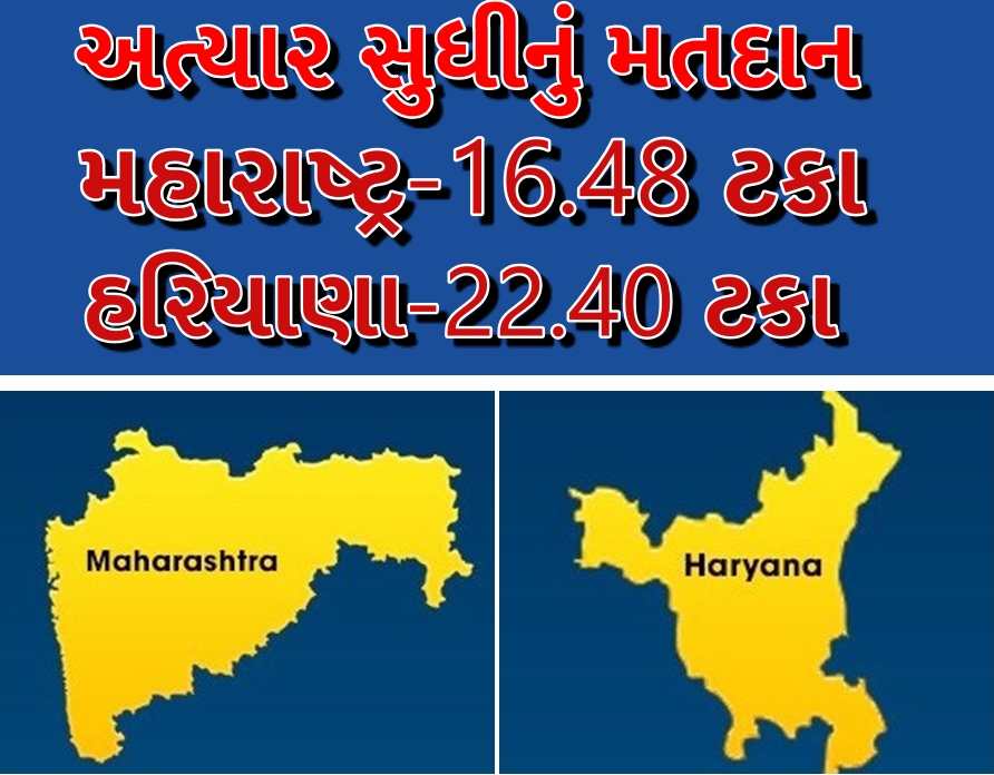 12.00 વાગ્યા સુધીનું મતદાન