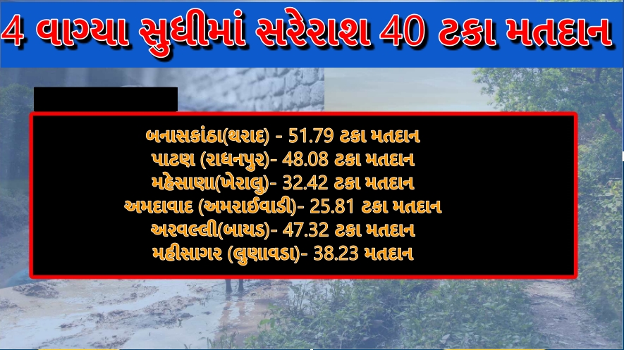 4 વાગ્યા સુધીનું મતદાન