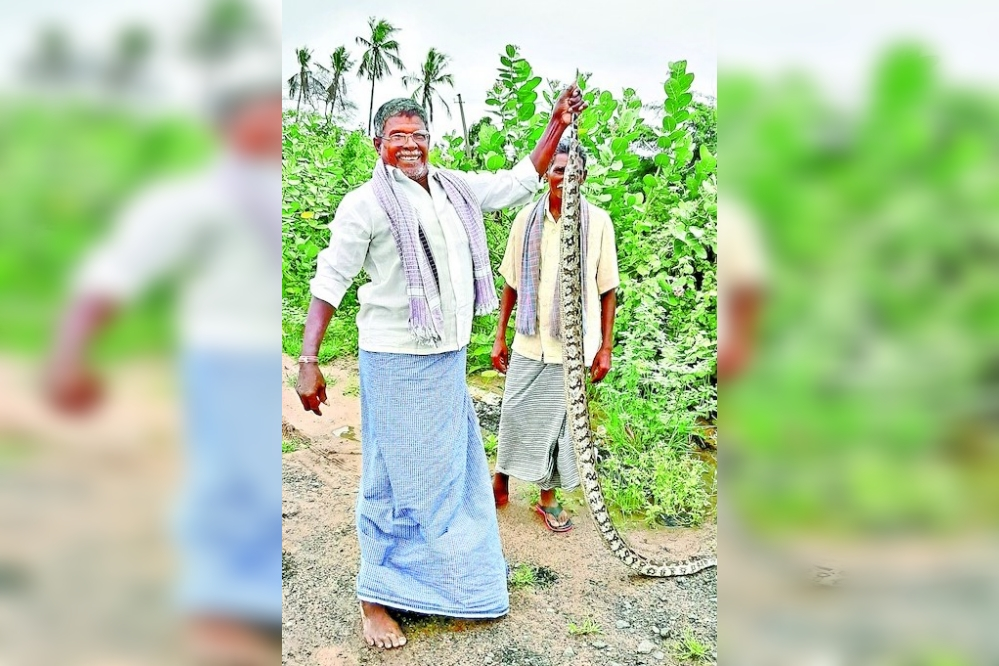 10 feet kondachiluva at krishna district garisapudi