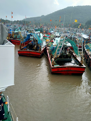 Fishing boats take shelter in a harbour