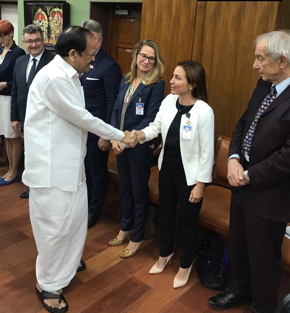 EU parliamentarians delegation meets Vice President Naidu