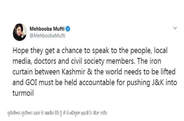 European Union MPs, Kashmir, article 370