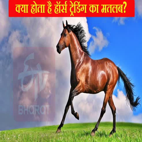 Cross Check Meaning in Hindi/Cross Check Horse का अर्थ या मतलब क्या होता है  