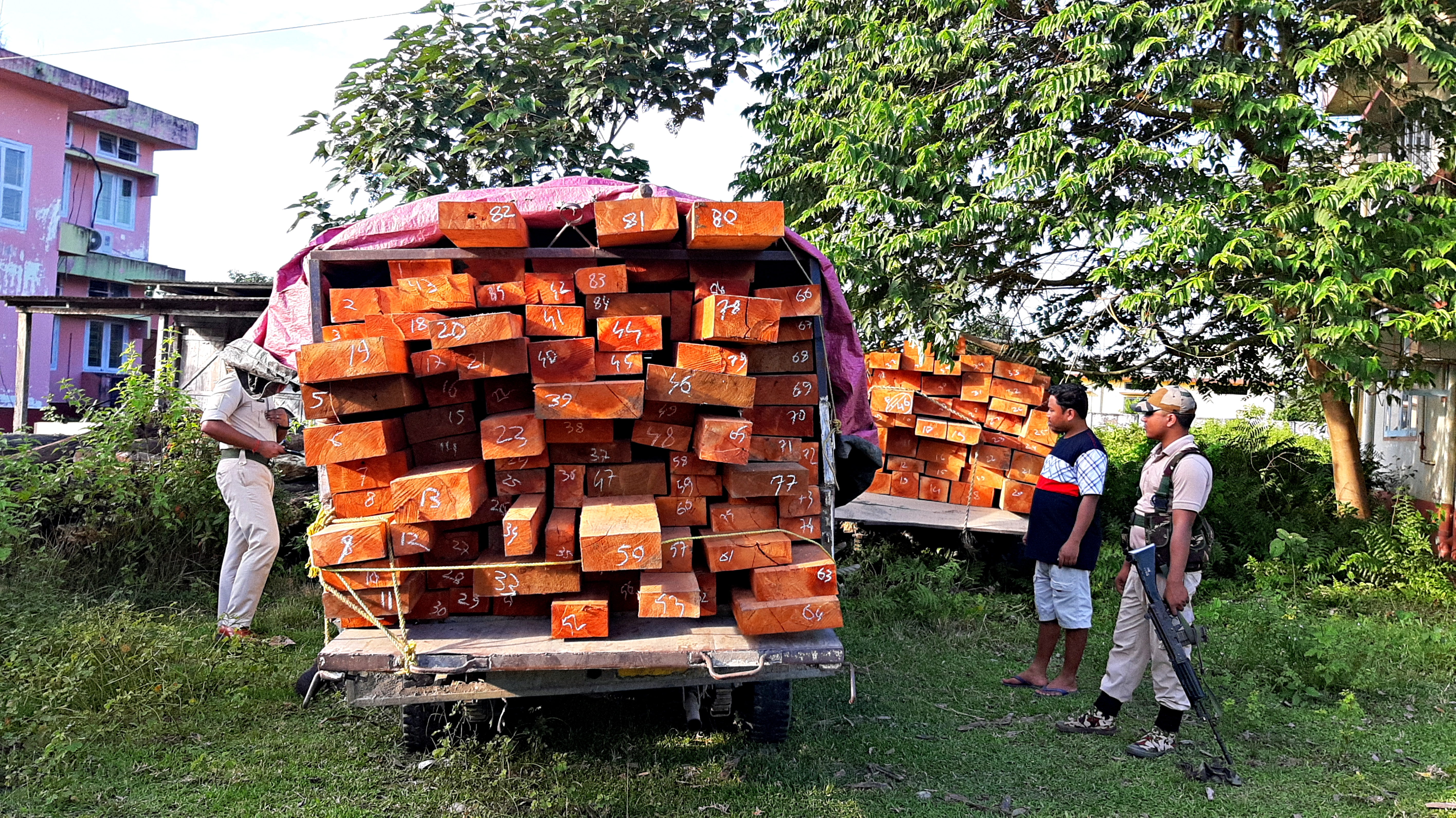 Chirang huge illegal timber seized