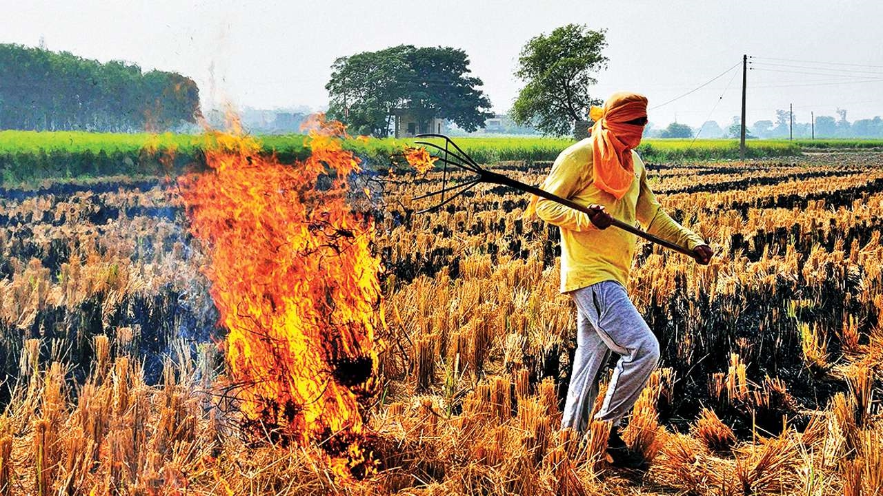 Punjab's stubble burning satellites image