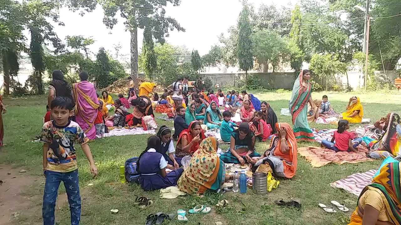 In Amla Navami we eat food under Amla tree