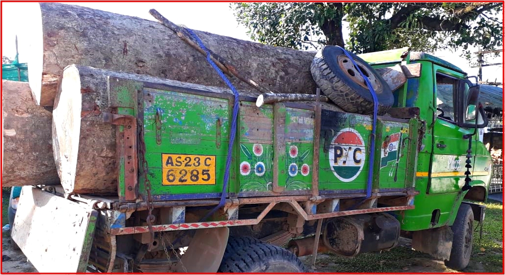 TINSUKIA ILLEGAL WOOD SEIZED BY FOREST DEPT ASSAM