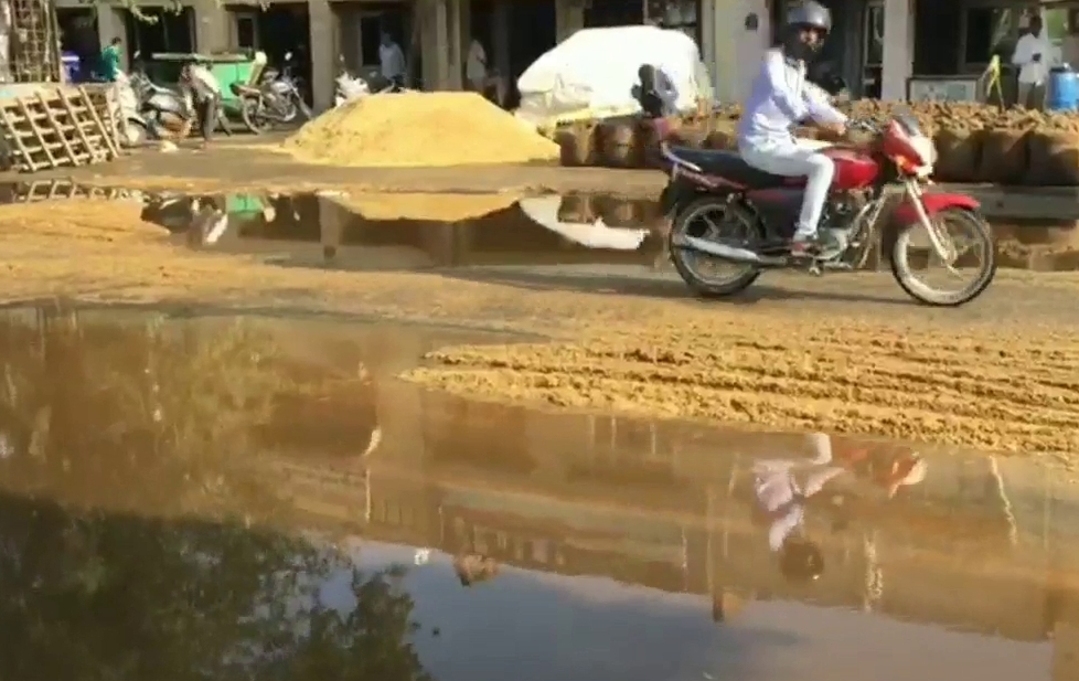 crops soaked in fatehabad grain market