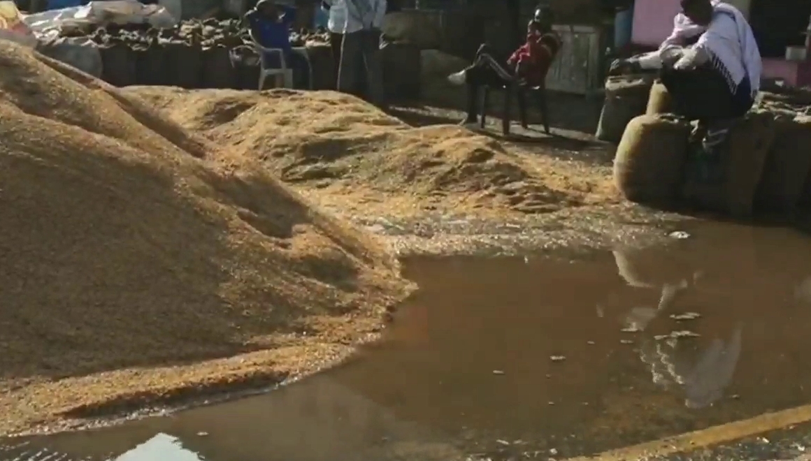 fatehabad grain market