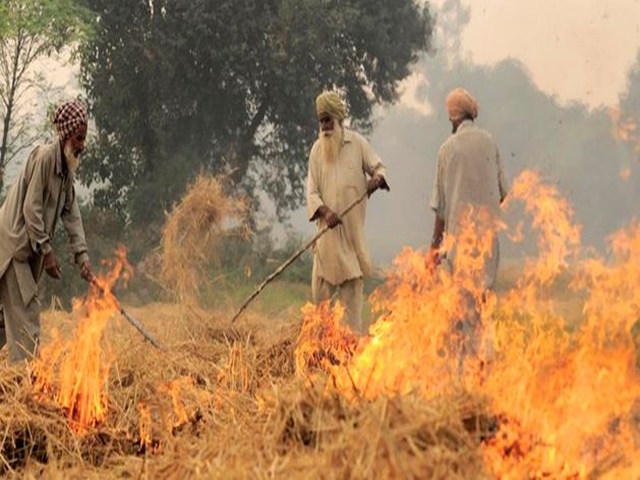 deathly smog in delhi