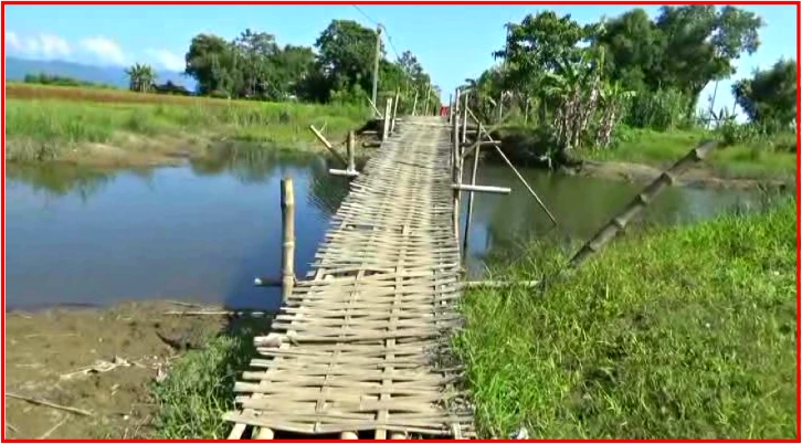 28 Bamboo Bridge in a road of  Assam, Jonai, Dhemaji