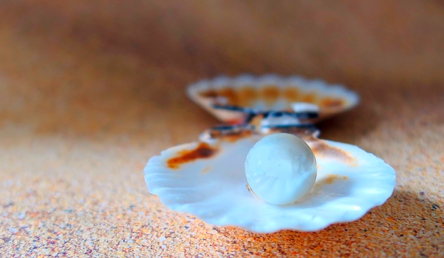 DHING PEARL FARMING, NAGAON ASSAM