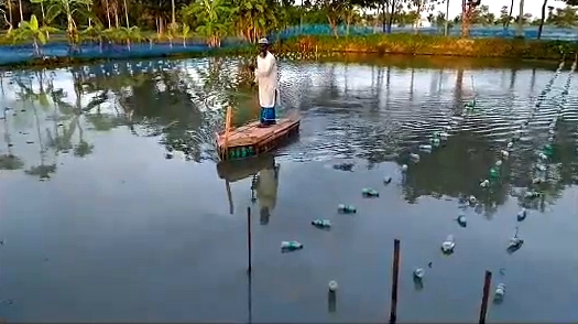 DHING PEARL FARMING, NAGAON ASSAM