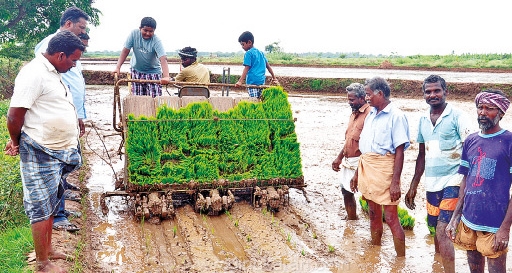 Rural Development