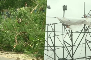 Strong winds uprooted trees and damaged hoardings in Kolkata.