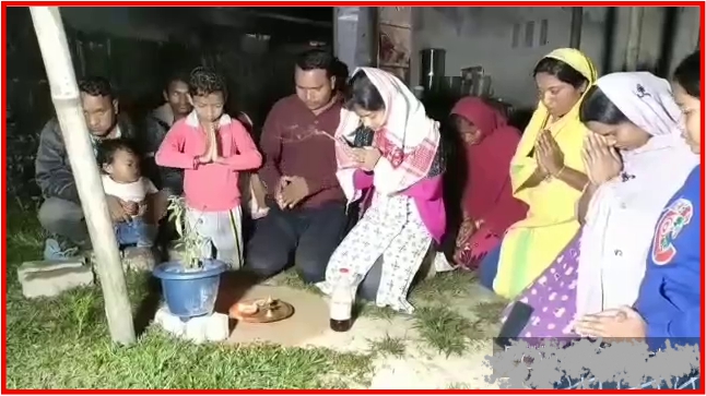 Tusli leafs drink water in Jorhat