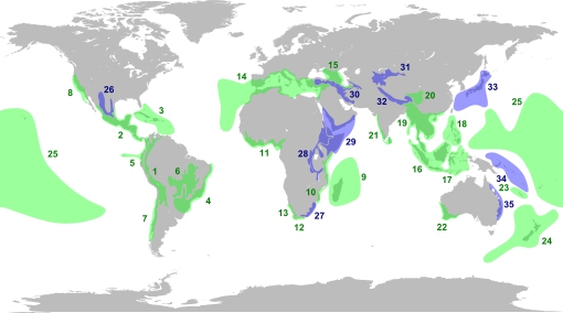 Let us not erode our rich linguistic heritage