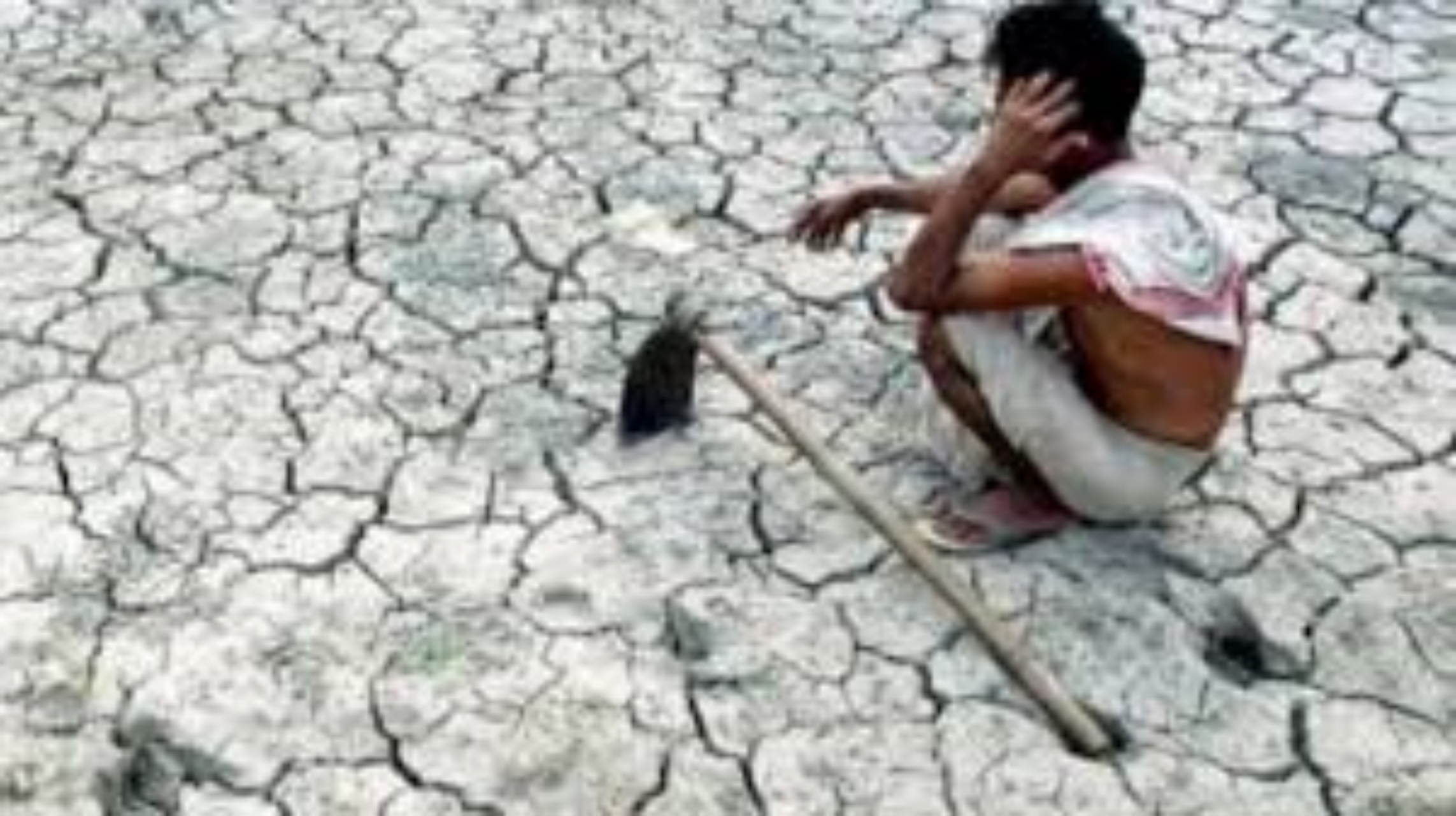 Farmer's Suicide in India