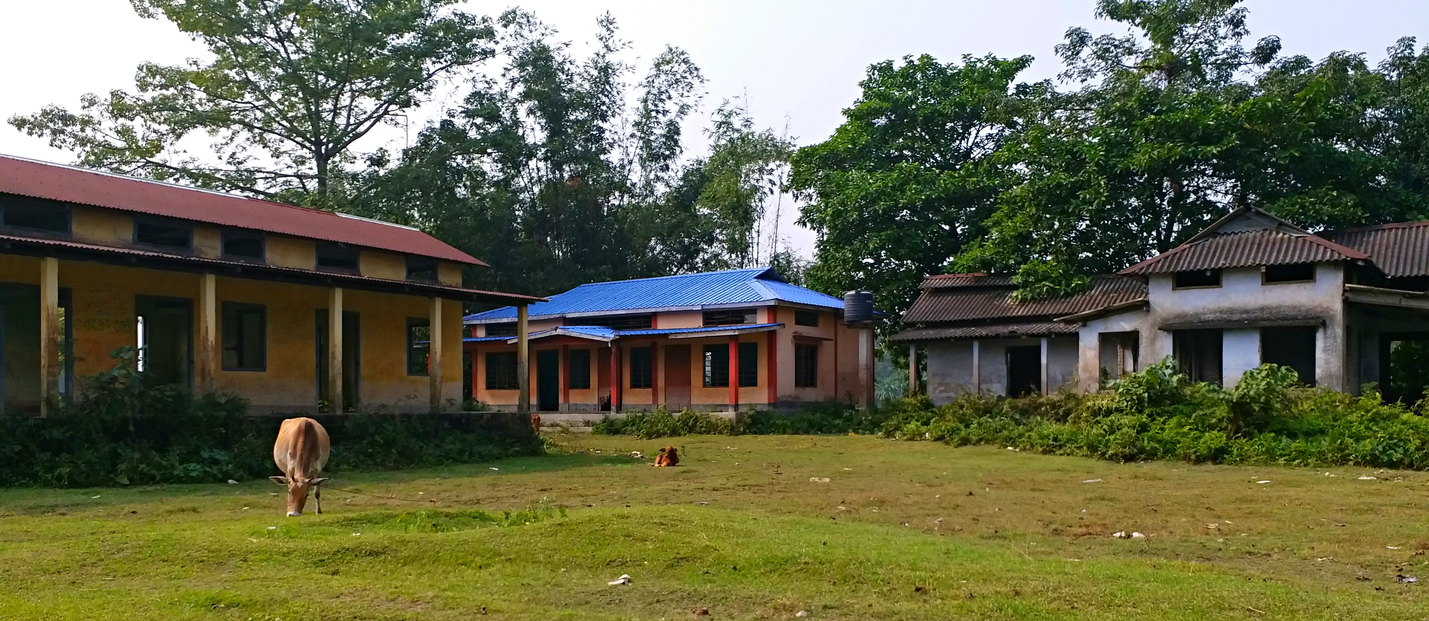 DHUBRI VETENARY HOSPITAL POOR CONDITION