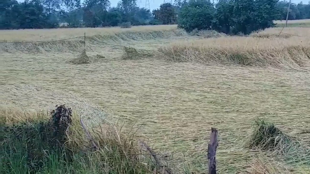 Filled water in farmers' fields