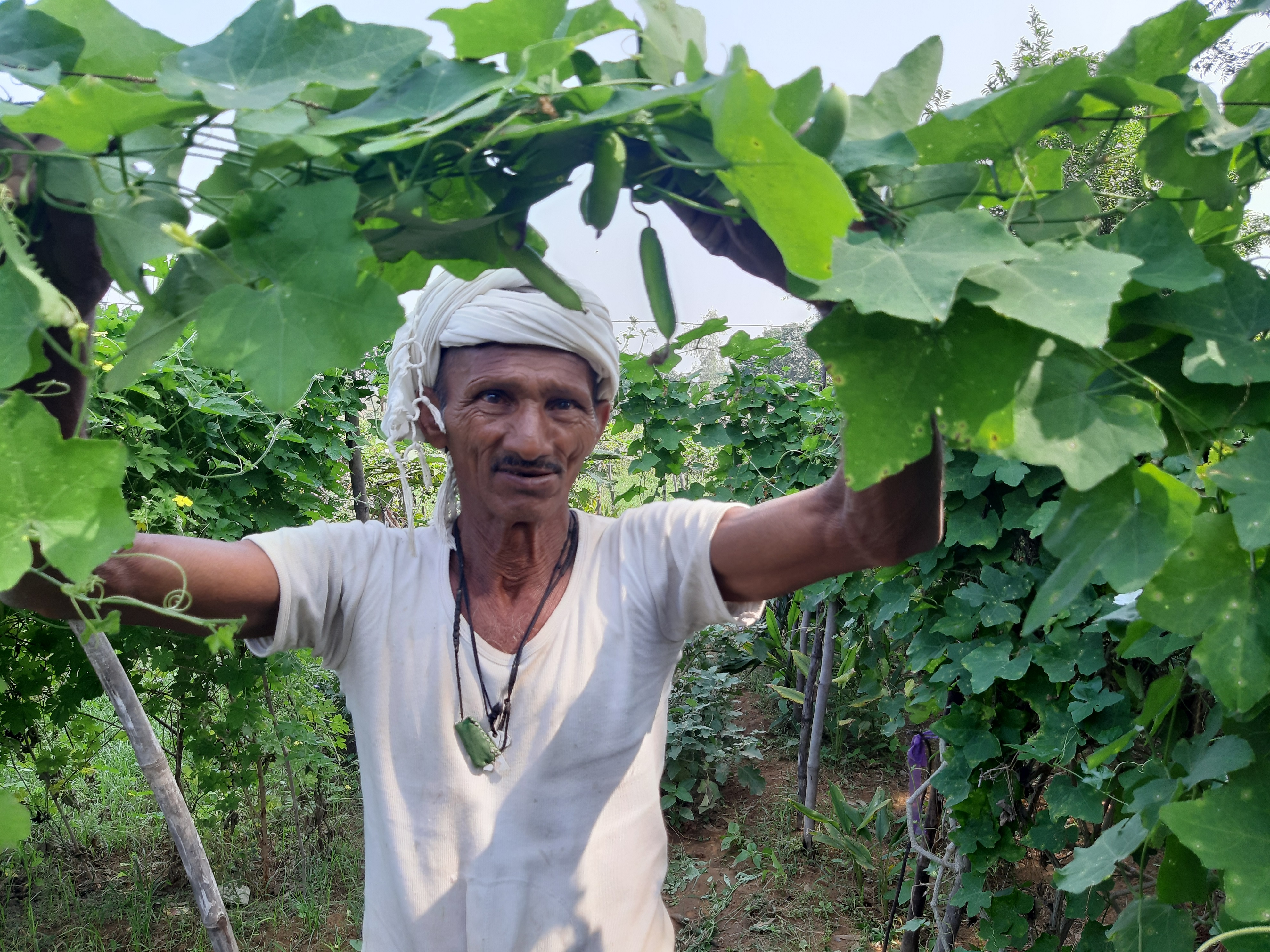 ખેડૂતોની સફળતાનું પરીણામ