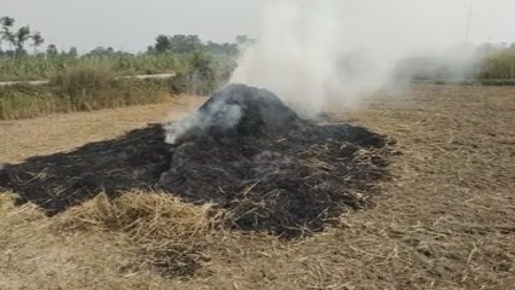 burning of crop residues causing pollution