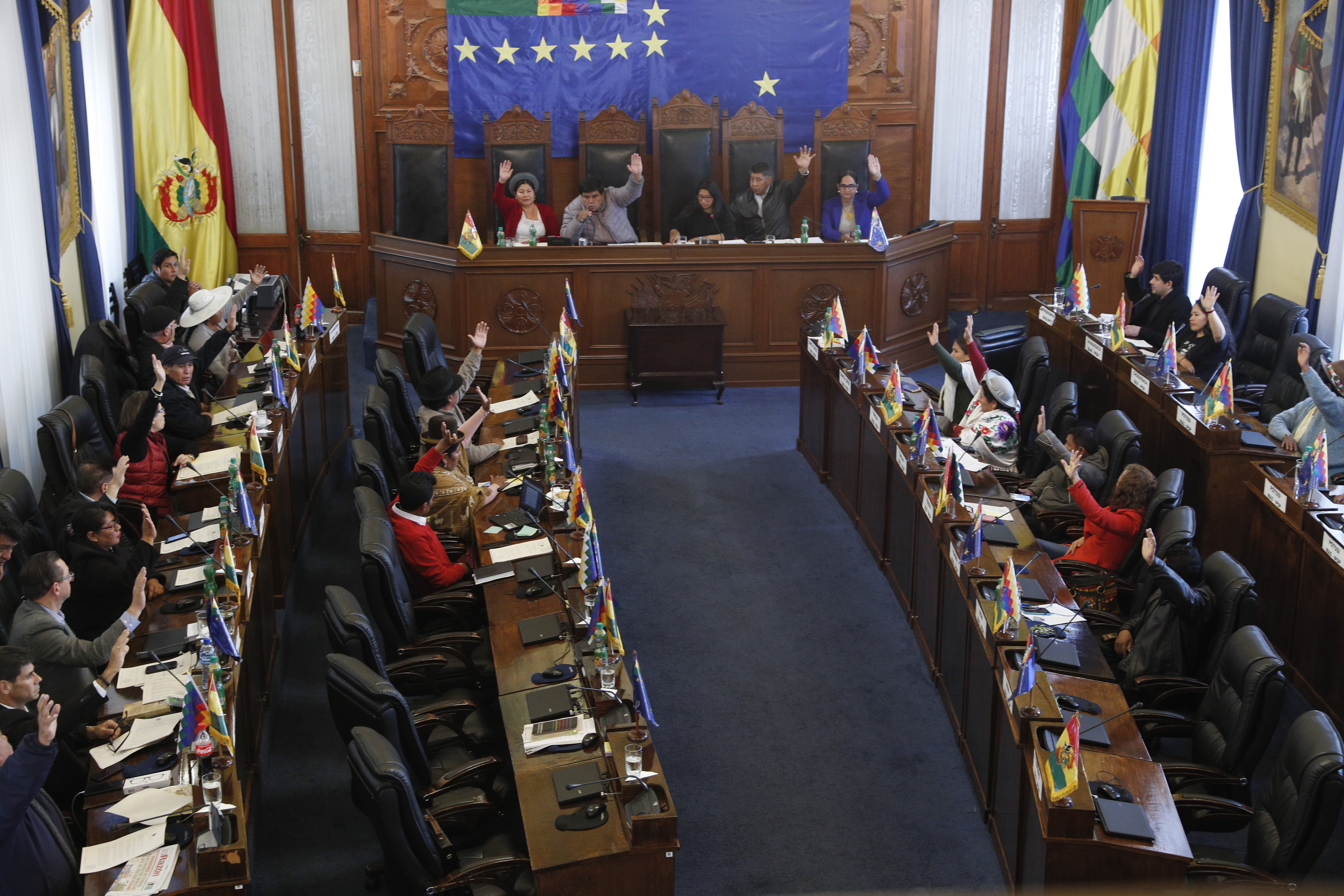 Senators approve a bill on holding new elections in Bolivia, on Saturday.