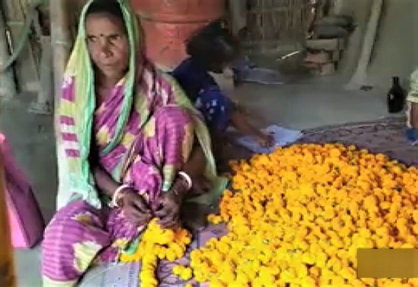 marigold farming in katihar
