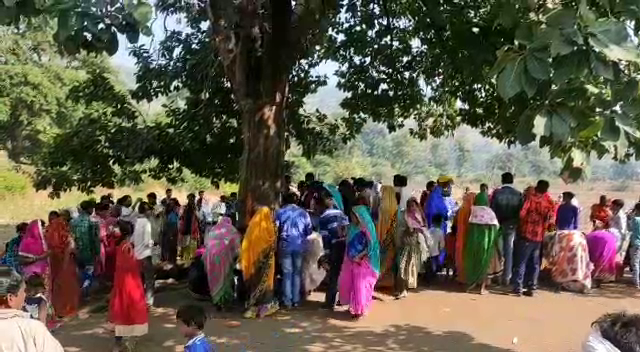 miraculous-tree in jabalpur