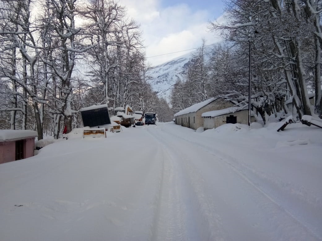 Snowfall in higher reaches of HP