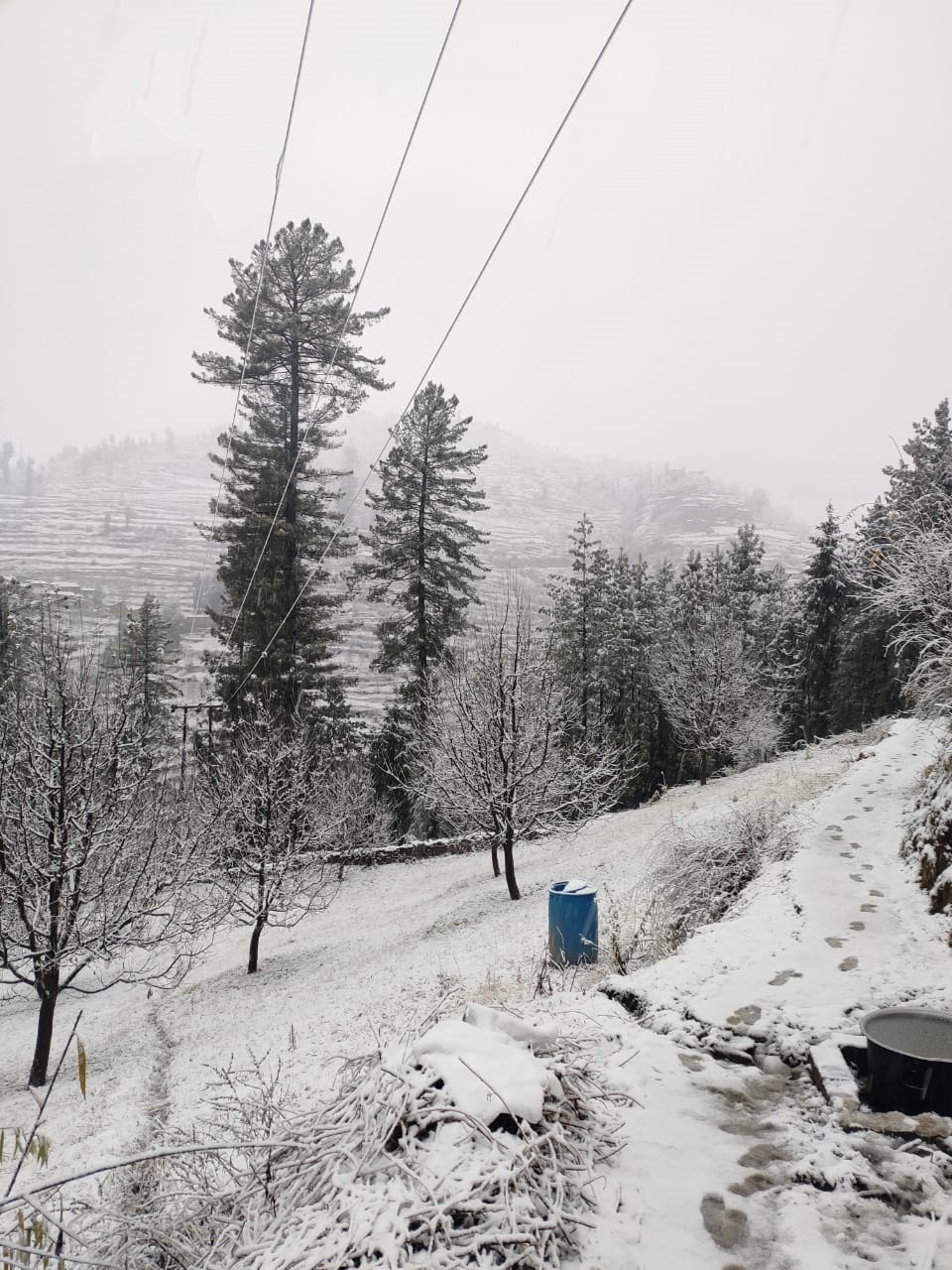 Snowfall in higher reaches of HP