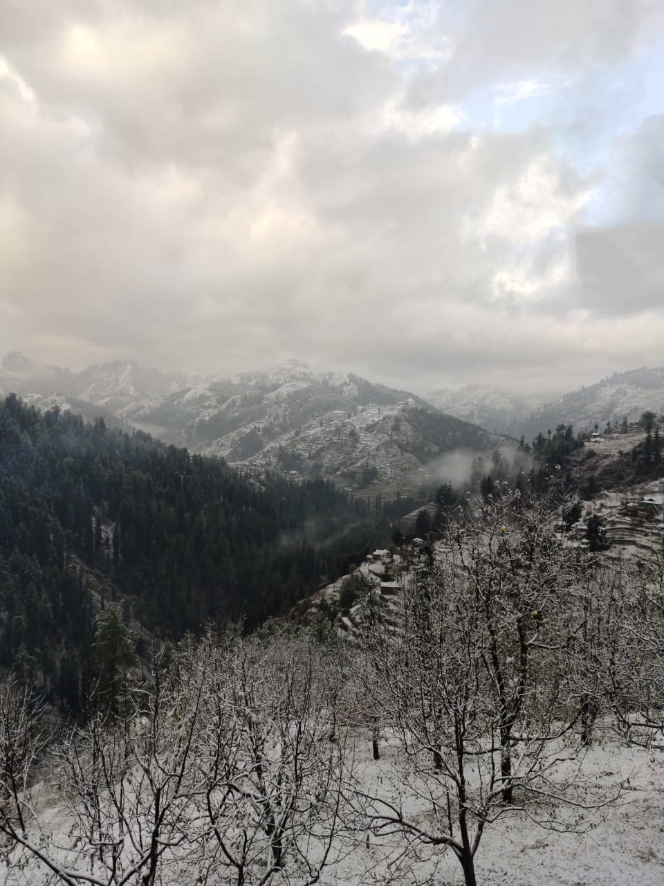 Snowfall in higher reaches of HP