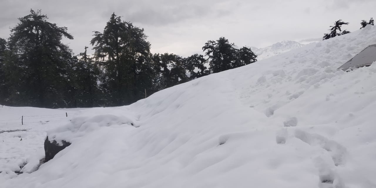 Snowfall in uttarakhand