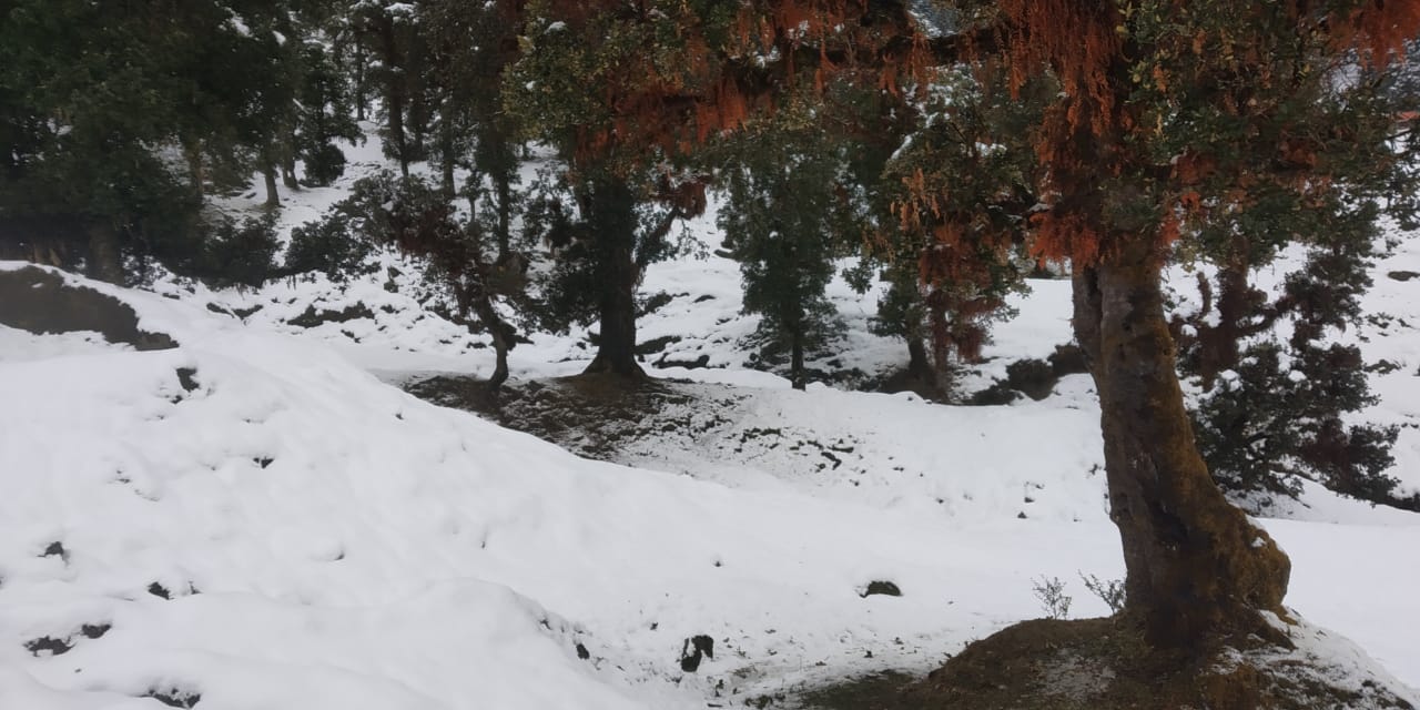 Snowfall in uttarakhand