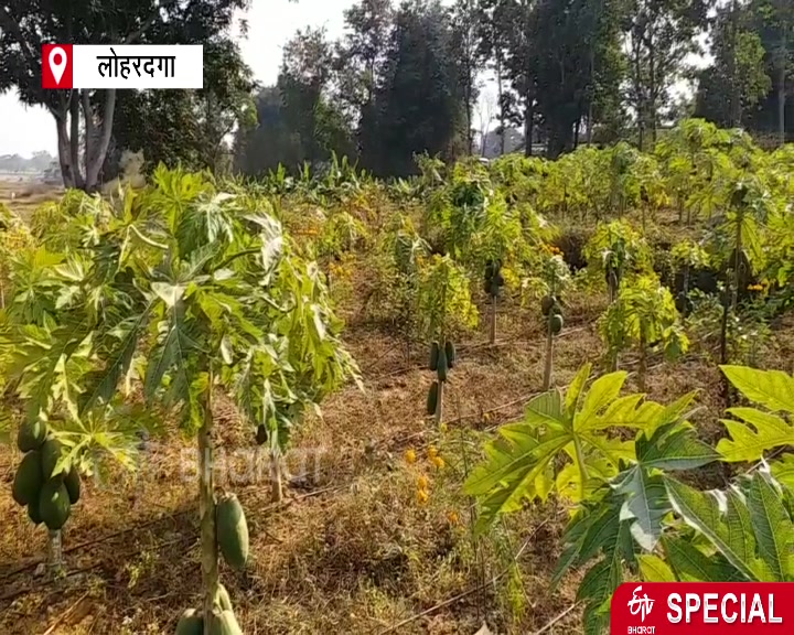 organic and mixed farming in lohardaga