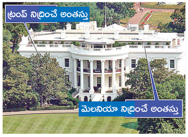 WHITE HOUSE