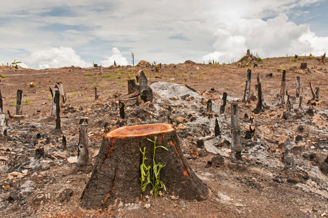 The Challenge of Giving Back to Mother Nature