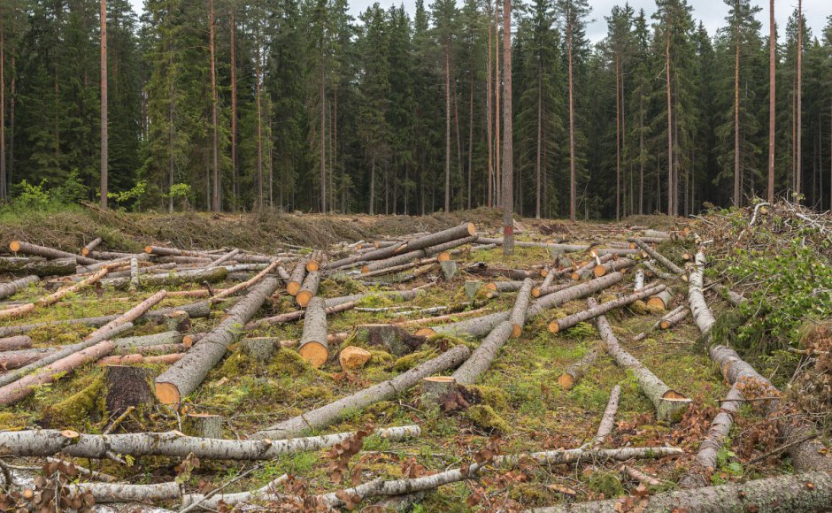 The Challenge of Giving Back to Mother Nature