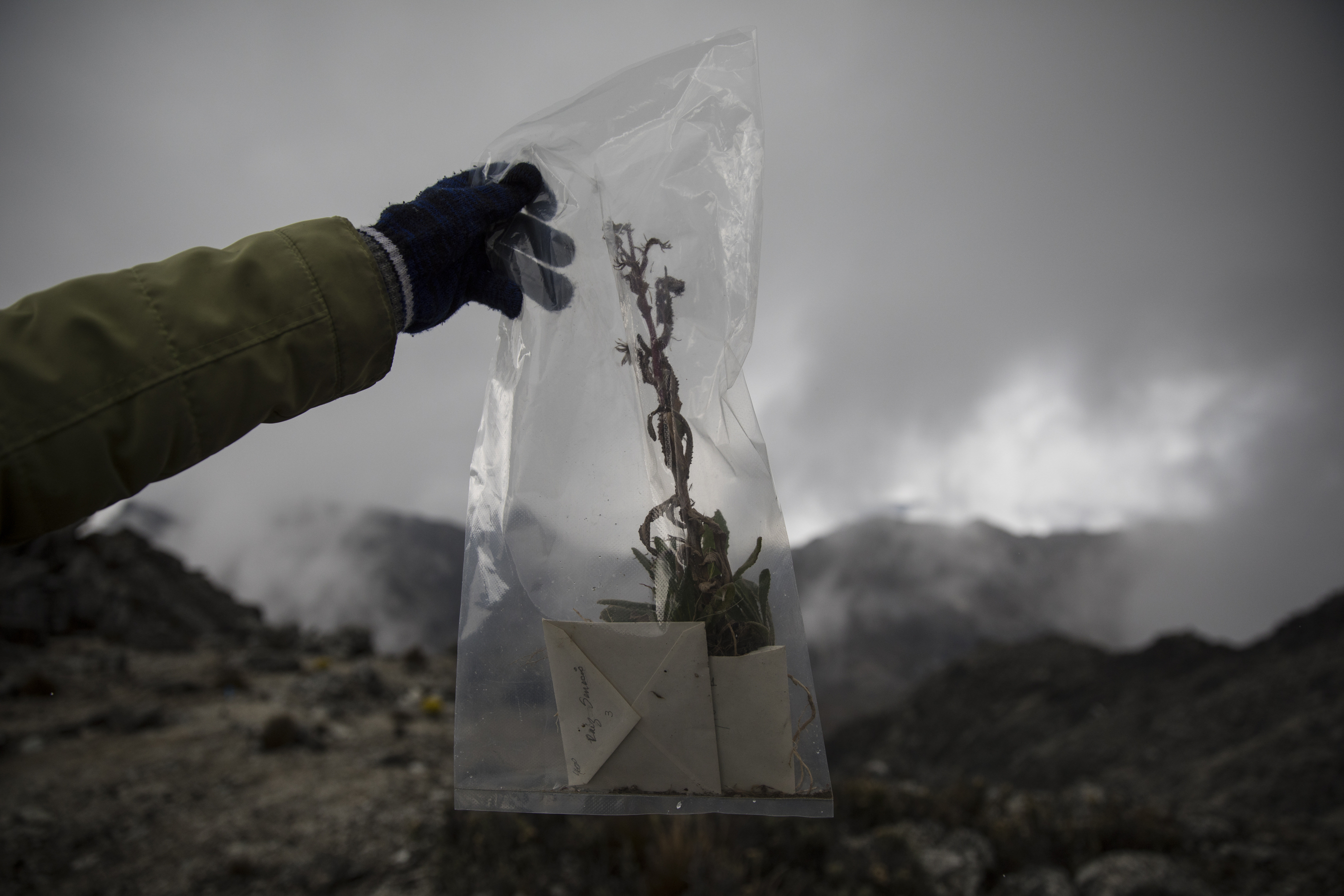 Venezuela's last glacier