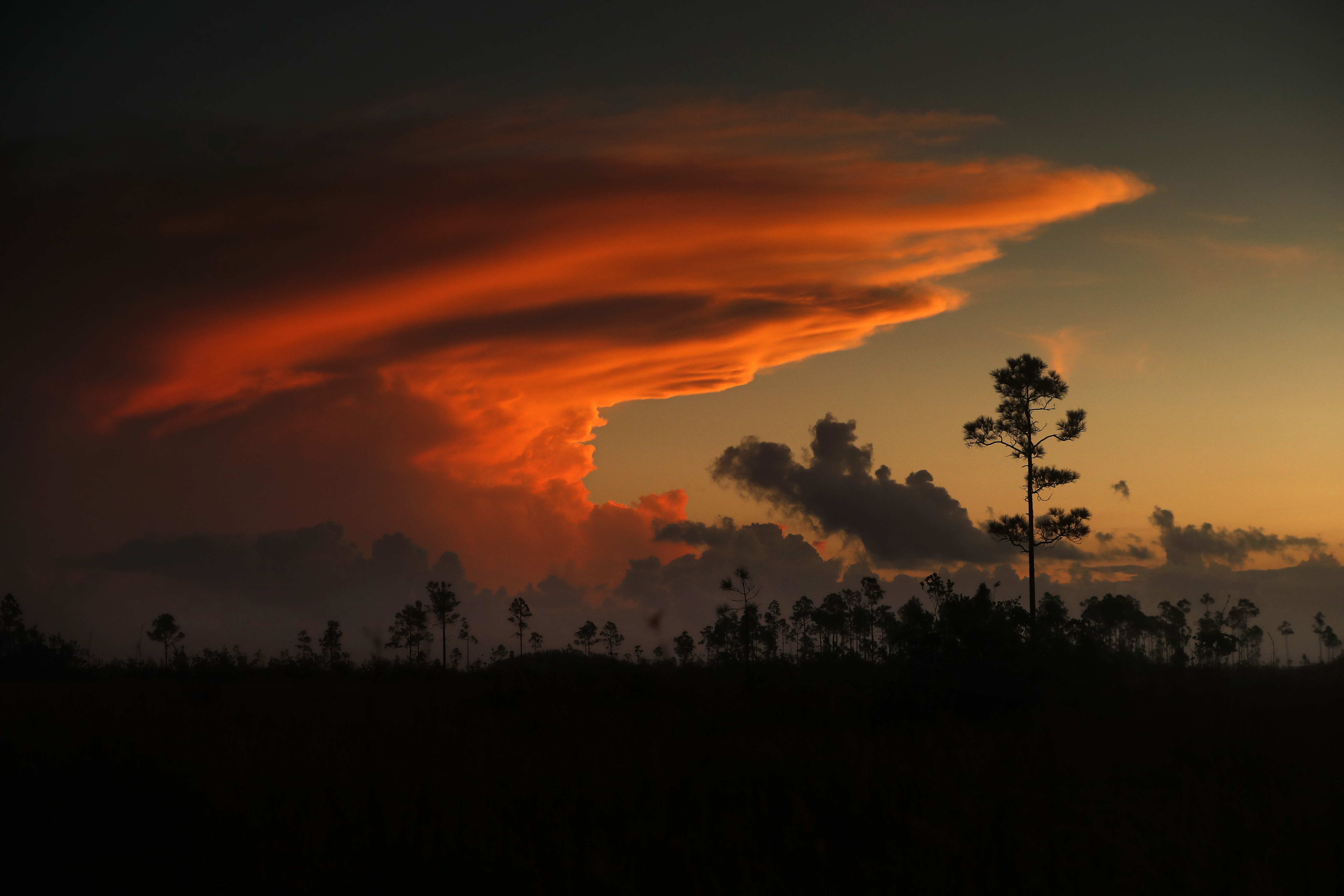 Everglades evolution